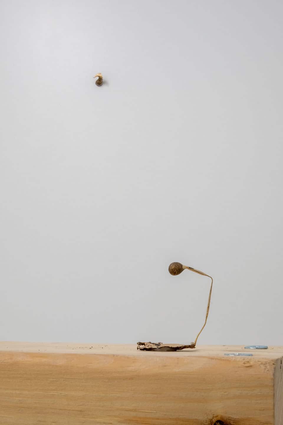 Solarity at NAMARA projects